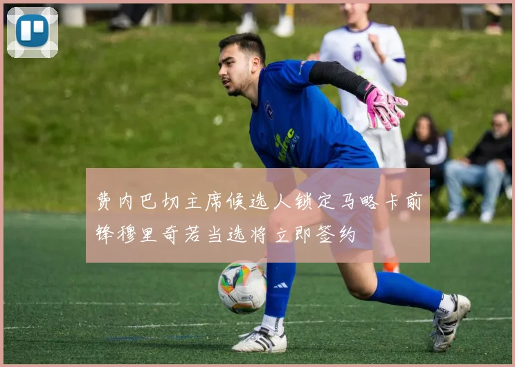 费内巴切主席候选人锁定马略卡前锋穆里奇若当选将立即签约